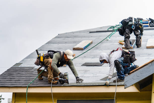 Professional Gutter Installation technician working in Fredericksburg, TX